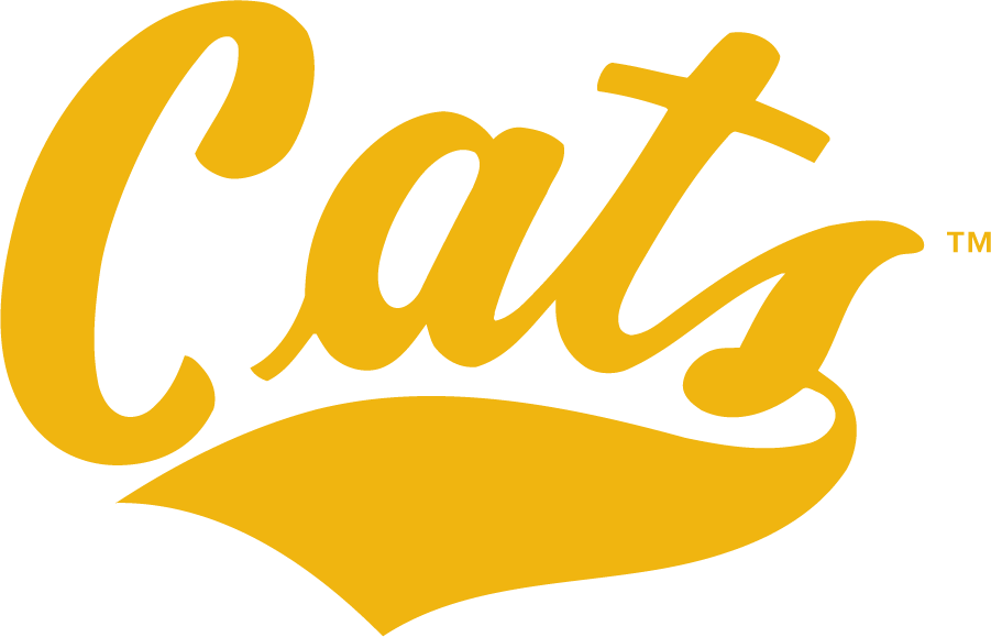 Montana State Bobcats 1995-2004 Wordmark Logo diy iron on heat transfer